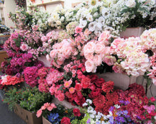 Our Showroom - April's Garden